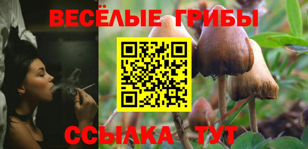 Галлюциногенные грибы прущие грибы  Вход с VPN  где продают   Борисоглебск  Псилоцибиновые грибы ЛСД 